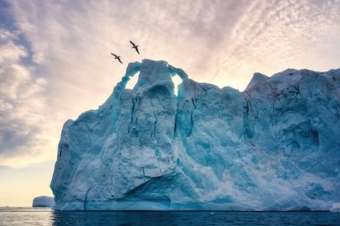 Grönland Ilulissat buzulları kutup gecesinde kuşlarla okyanusta
