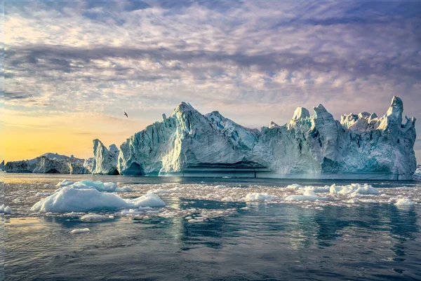 Grönland Ilulissat-Gletscher bei Polarnacht mit Vogel — Stockfoto