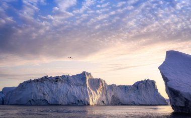 Grönland Ilulissat buzulları kutup gecesinde okyanusta