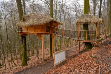 Ağaç ev sessiz orman ve kuşlar ötüyor