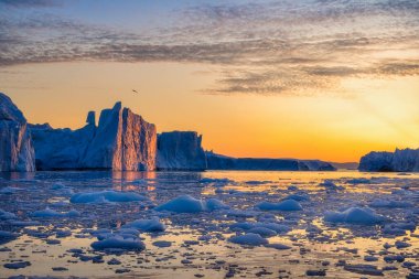 Grönland Ilulissat buzulları kutup gecesinde okyanusta
