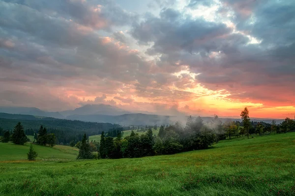 High Tatras 'ta vadileri, gölleri ve nehirleri olan güzel bir manzara.