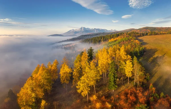 High Tatras 'ta vadileri, gölleri ve nehirleri olan güzel bir manzara. — Stok fotoğraf