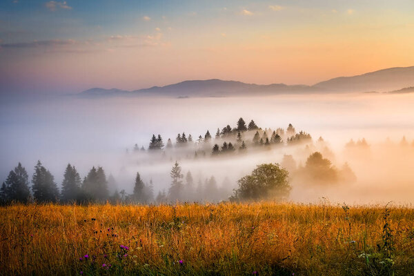 beautiful landscape with valleys, lakes and rivers in Pieniny mountains in fog
