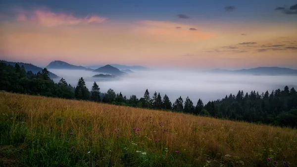 Schöne Landschaft mit Tälern, Seen und Flüssen im Pieniny-Gebirge im Nebel — Stockfoto