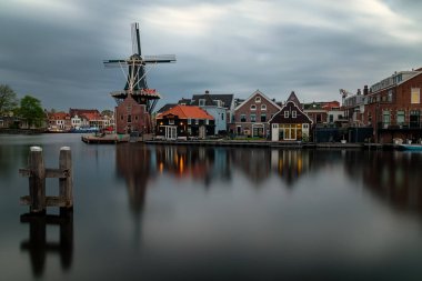 Hollanda 'da çiçekler, laleler ve yel değirmenleri