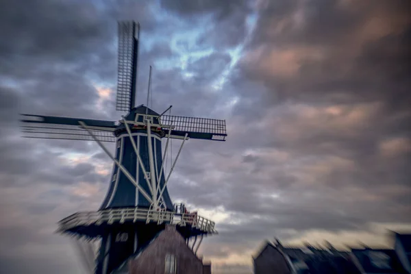 Holland landschap van bloemen, tulpen en molens — Stockfoto