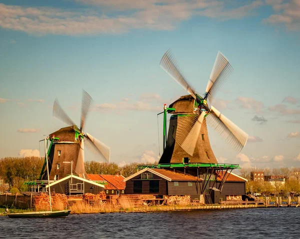 Holland landscape of flowers, tulips and windmills — Stock Photo, Image