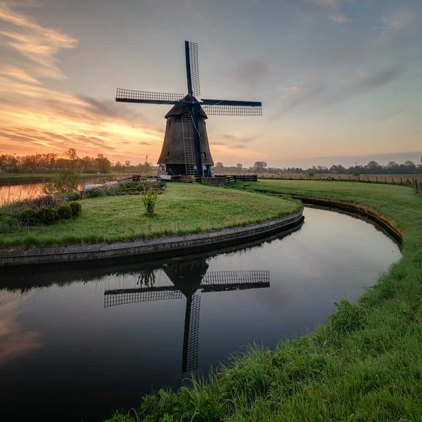 Holandia krajobraz kwiatów, tulipanów i wiatraków — Zdjęcie stockowe