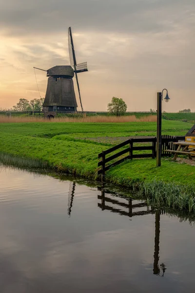 Holandia krajobraz kwiatów, tulipanów i wiatraków — Zdjęcie stockowe