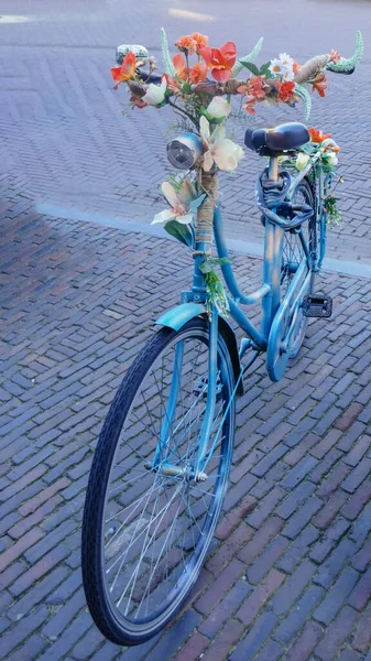 Belle bicyclette bleue avec fleurs ornementales en fleurs — Photo