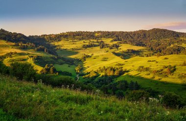 Pieniny dağlarında vadileri, gölleri ve nehirleri olan güzel bir manzara.