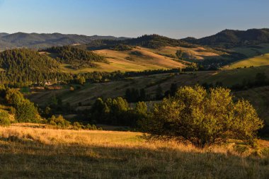 Vadileri, gölleri ve sisli nehirleri olan güzel bir manzara.