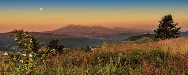 Vadileri, gölleri ve sisli nehirleri olan güzel bir manzara. — Stok fotoğraf