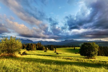 Vadileri, gölleri ve sisli nehirleri olan güzel bir manzara.