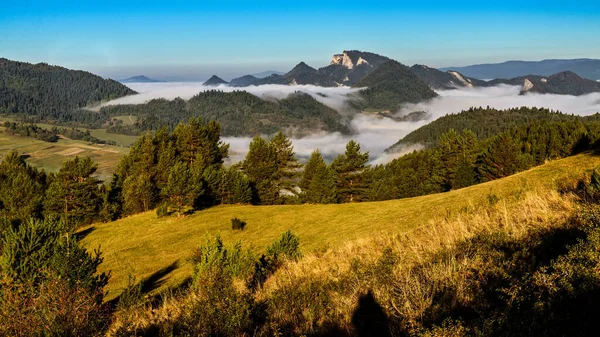 Красивый пейзаж с долинами, озерами и реками в тумане — стоковое фото