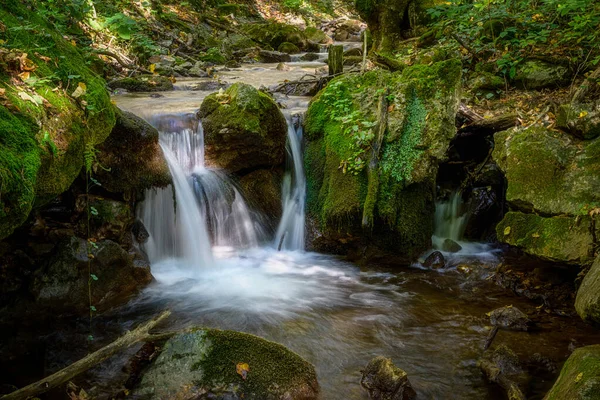 Zadielska Tal mit malerischem Bach und grüner Vegetation — Stockfoto