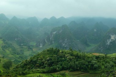 Tipik Vietnam manzarası ilkbaharda pirinç tarlalarıyla