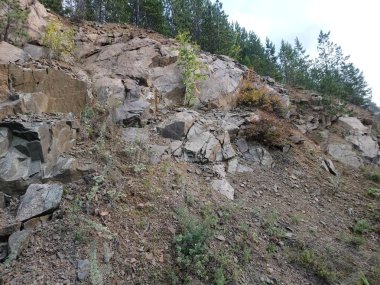 Ağaçların yetiştiği güzel kayalık dağ