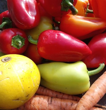 Kırmızı ve yeşil biber, kabak ve havuç masada yatıyor