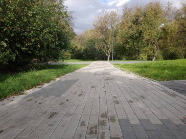 Sonbahar parkında kaldırım döşemelerinden ve ağaçlardan yapılmış bir patika