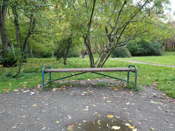 공원에 스탠드 — 스톡 사진