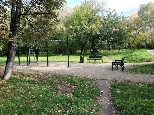 Benches and horizontal bars for sports and recreation are in the autumn park.