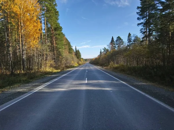 Camino Asfaltado Los Lados Hermoso Bosque Otoñal — Foto de Stock