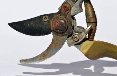 Beyaz arka planda eski bahçe makası