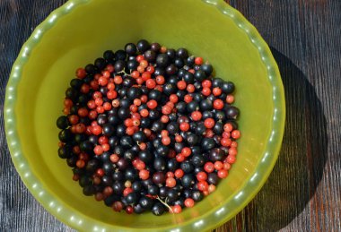 Masada kırmızı ve siyah üzümlü bir tabak var.