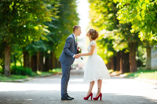 Hochzeit. Junges Paar, frisch verheiratet, Händchen haltend — Stockfoto