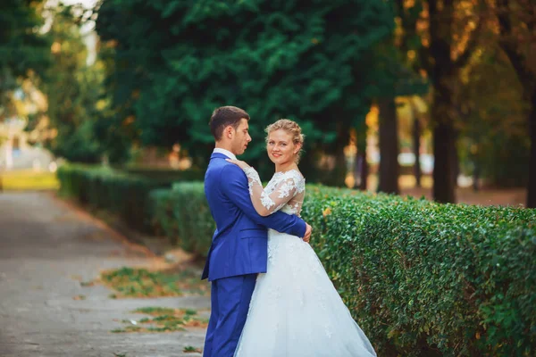 Svatba nevěsty a ženicha. Novomanželé v parku. — Stock fotografie