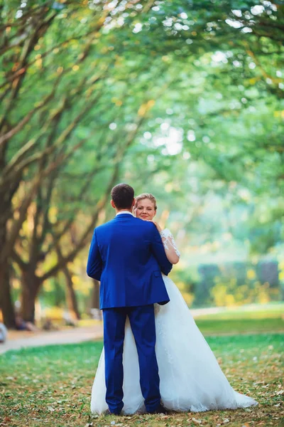 Maravilloso novio y novia en el bosque de verano — Foto de Stock