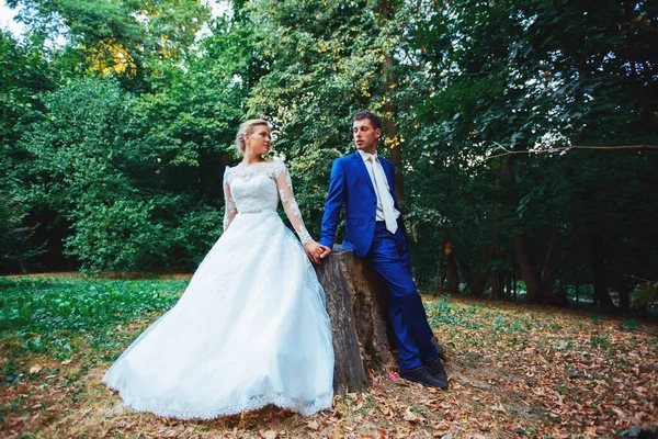 Eleganti sposi che posano insieme all'aperto il giorno del matrimonio — Foto Stock