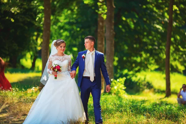 Prachtige bruidegom en bruid in het zomerwoud — Stockfoto