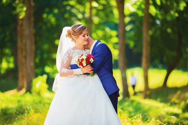 Belle mariée dans une robe chère marchant dans les bois dans la nature, se tenant la main. Portrait de mariage. Photographie, concept . — Photo