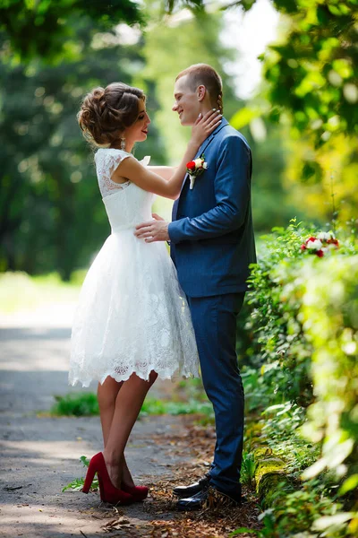 Весілля. Молода пара, нещодавно одружена, тримається за руки — стокове фото