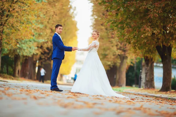 Belle mariée dans une robe chère marchant dans les bois dans la nature, se tenant la main. Portrait de mariage. Photographie, concept . — Photo