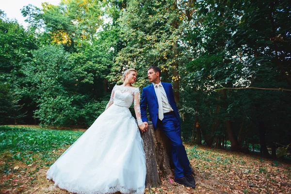 Novomanželé v parku. Právě ženatý. Projít se v parku a obejmout. — Stock fotografie