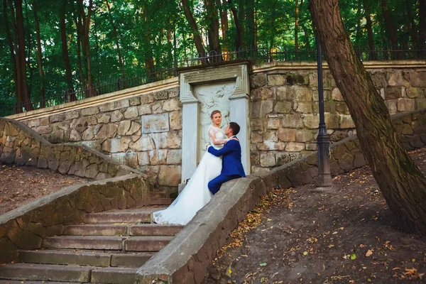 Hermosa novia en un vestido caro caminando en el bosque en la naturaleza, tomados de la mano. Retrato de boda. Fotografía, concepto . — Foto de Stock