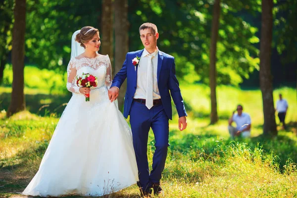 Menyasszony és vőlegény a parkban csókolóznak. esküvő a természetben zöld erdő csók — Stock Fotó