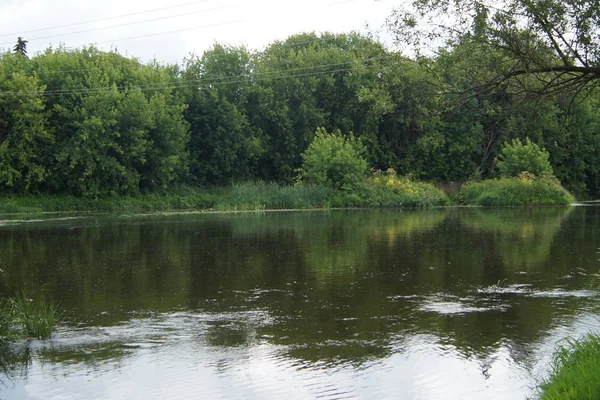 Lago Bosque — Foto de Stock