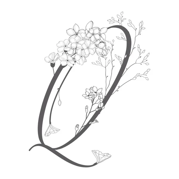 Monogramme et logo Q floral dessiné à la main vectorielle — Image vectorielle