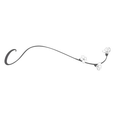 Vektör çiçek B el çekilmiş monogram ve logosu