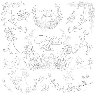 Vektör çizilmiş bitkiler ve çiçekler, çelenk, köşeleri, dalları