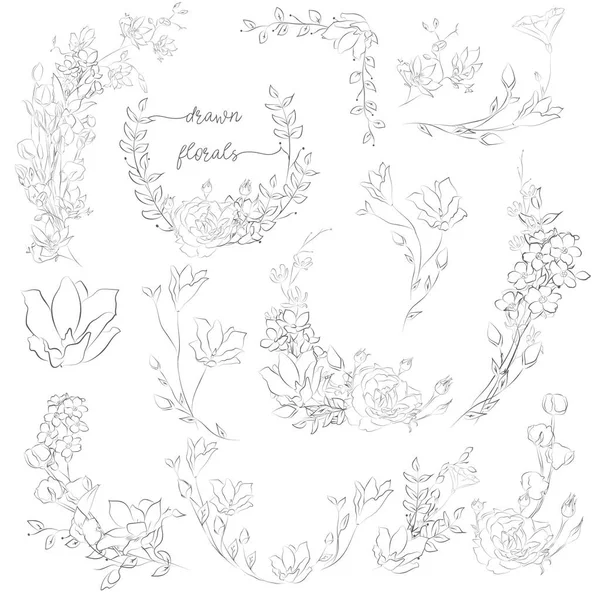 Vektorgezeichnete Pflanzen und Blumen, Kränze, Ecken, Zweige — Stockvektor