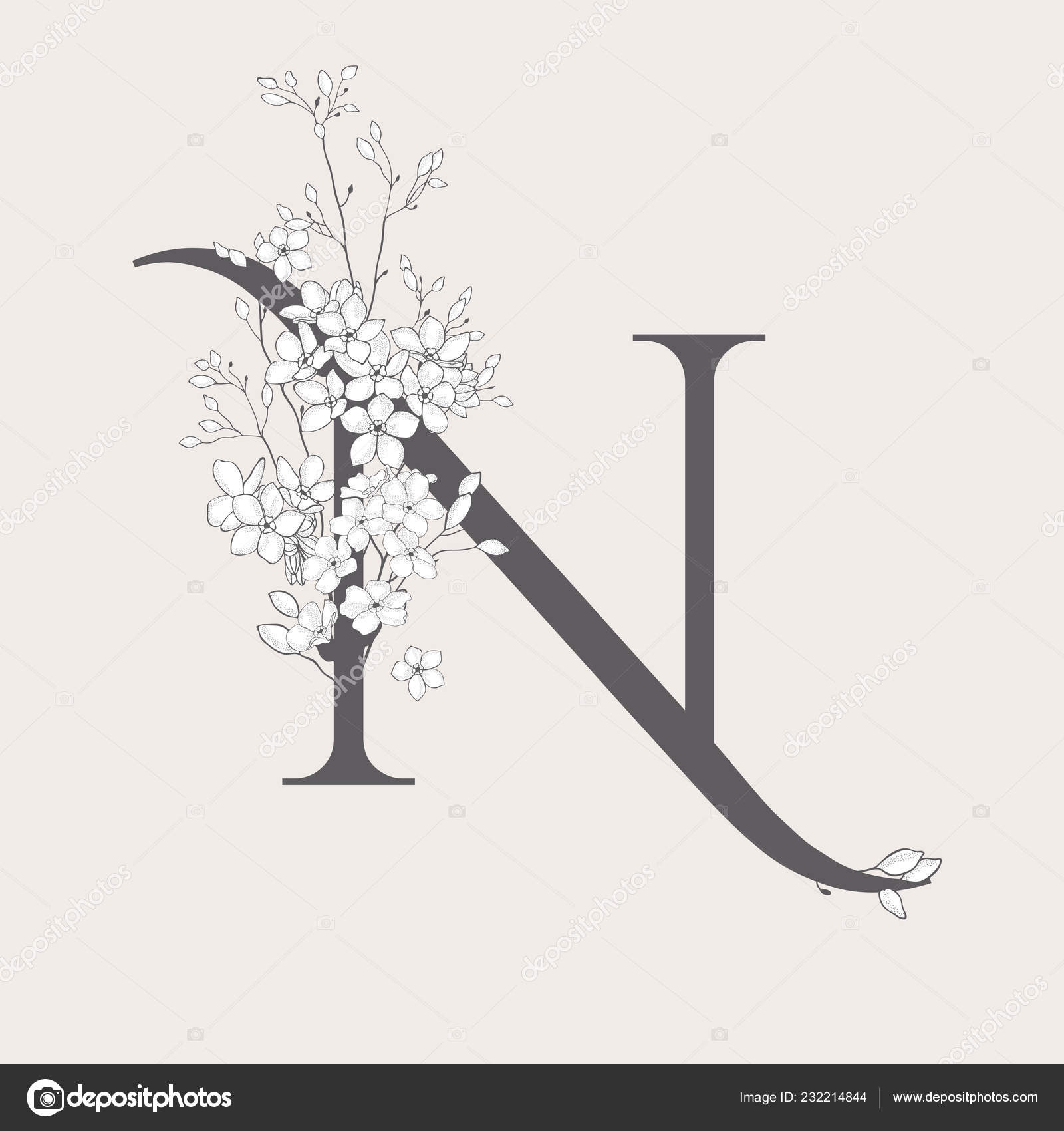 Vector Blooming Floral Initial N Monogram and Logo Stock Vector by