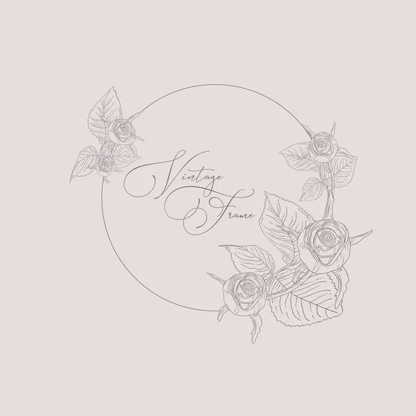 Vector Floristic Feminine Brand Logo Template Frame. — Stock Vector