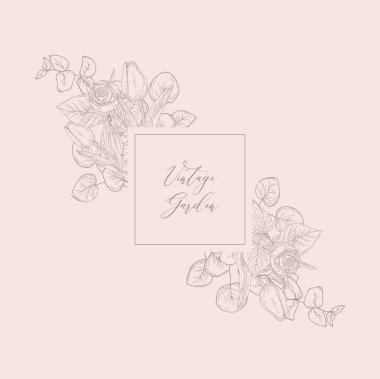 Vektör da kadınsı marka Logo şablonu çerçeve.