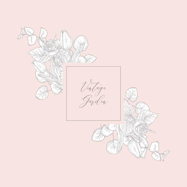 Vector Floristic Feminine Brand Logo Template Frame. — Stock Vector